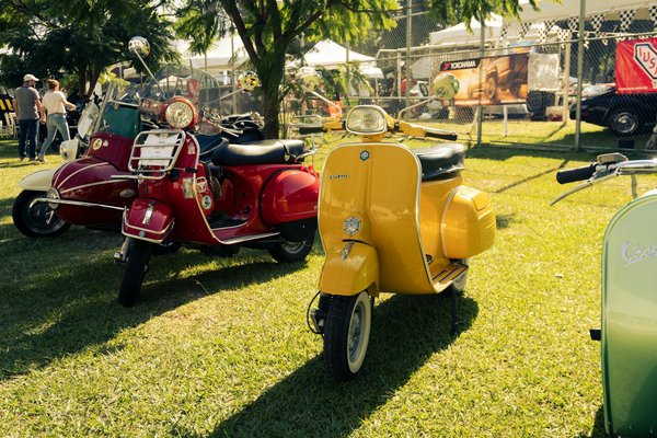 Peluche : avantages de son utilisation comme cadeaux marketing