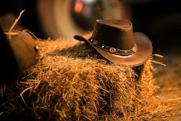 Chapeau de cowboy : misez sur un modèle de type Yellowstone