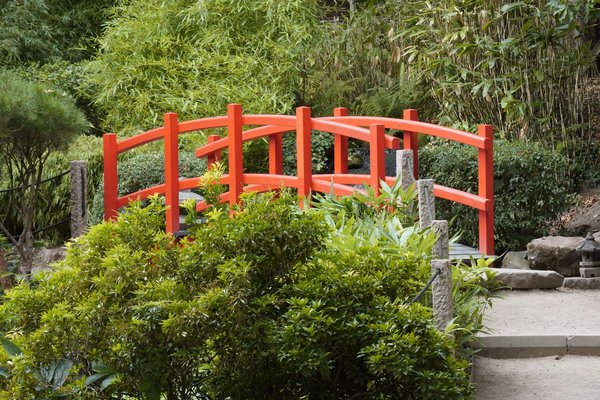 Comment utiliser les techniques de gestion de l'énergie pour les femmes en période de transition professionnelle?